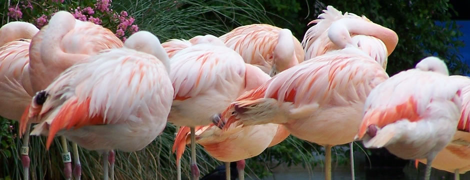 怎么去攻击一个网站与防护